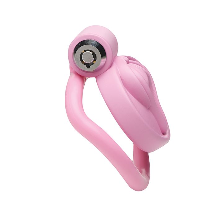 Pussification Vulva Locking Chastity Cage Master Series
