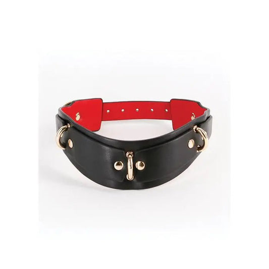 Fetish & Fashion Lilith Collar - Bondage Collar NS Novelties