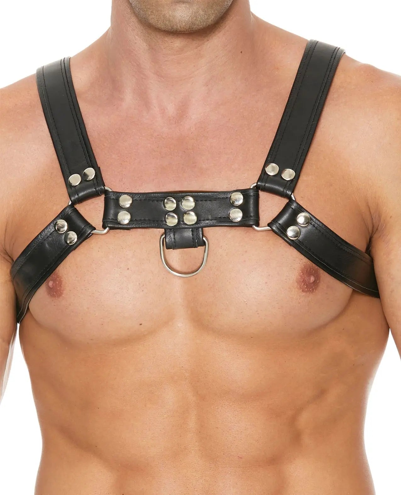 Shots Uomo Chest Bulldog Harness - Pet Play Shots