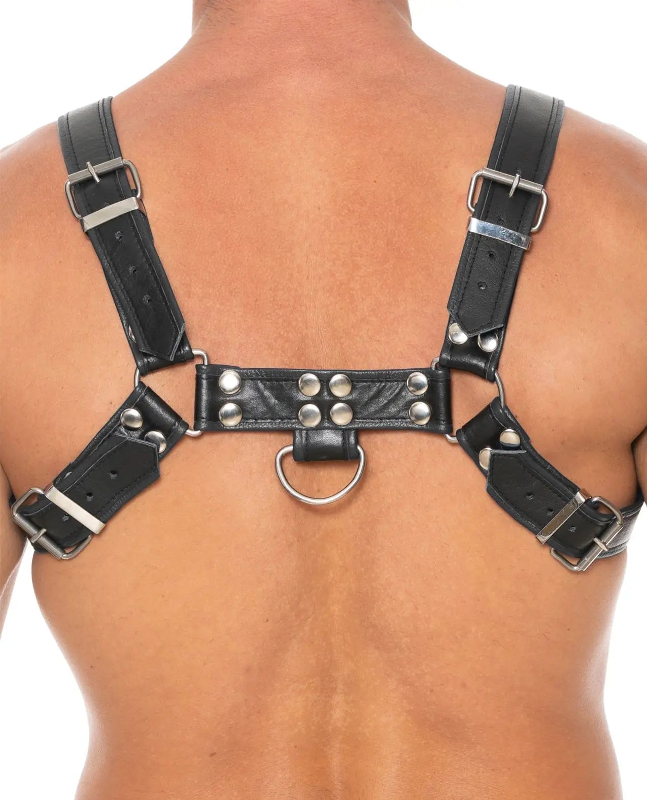 Shots Uomo Chest Bulldog Harness - Pet Play Shots