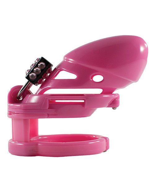 The Vice Plus Chastity Cock Cage Locked in Lust