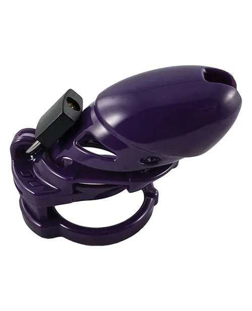 The Vice Plus Chastity Cock Cage Locked in Lust