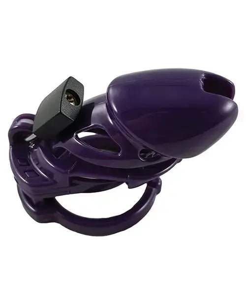 The Vice Standard Chastity Cock Cage Locked In Lust