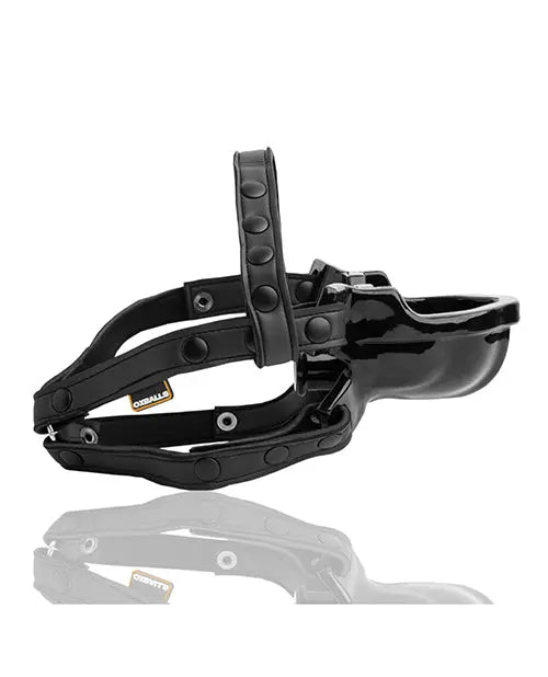Watersport Strap on Gag Oxballs