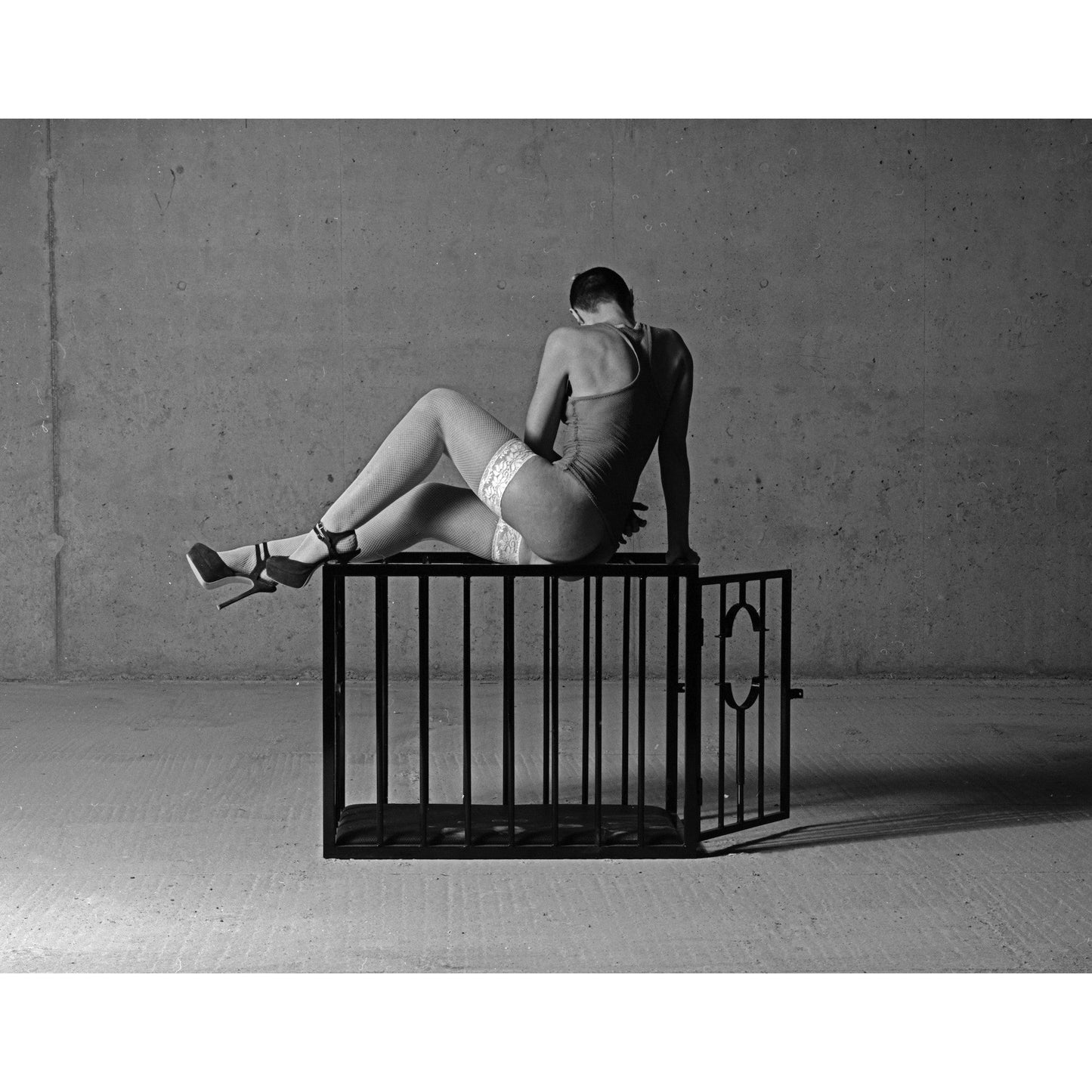 BDSM Sex Cage BDSM Architecture