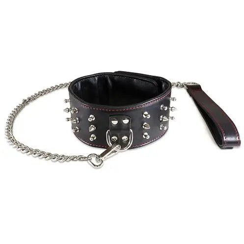 Lambskin 2 1/2" Studded Collar w/24" Chain Sultra