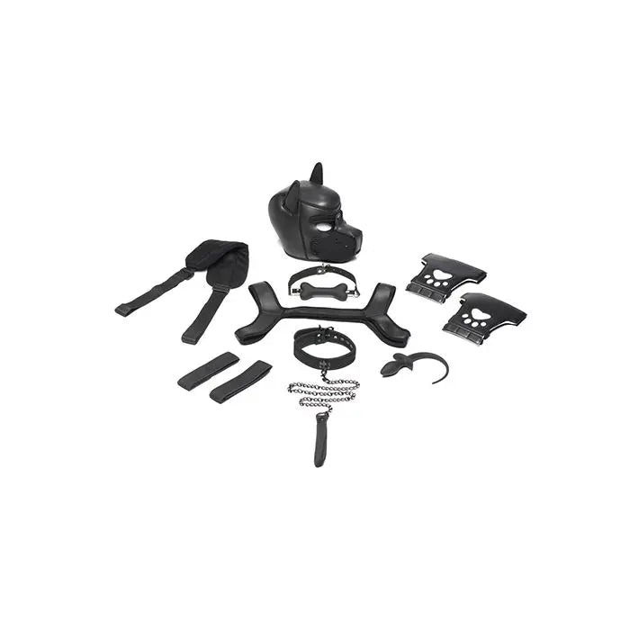 Master Series Pet Play Arsenal Set Master Series