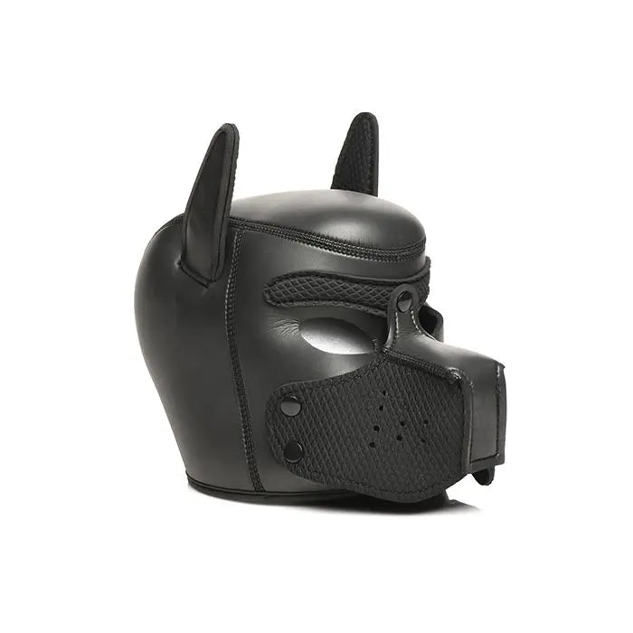 Master Series Pet Play Arsenal Set Master Series