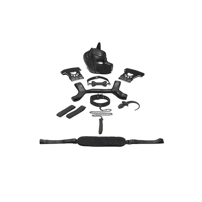 Master Series Pet Play Arsenal Set Master Series