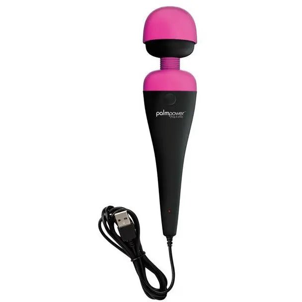 Palm Power Plug & Play B.M.S. Enterprises