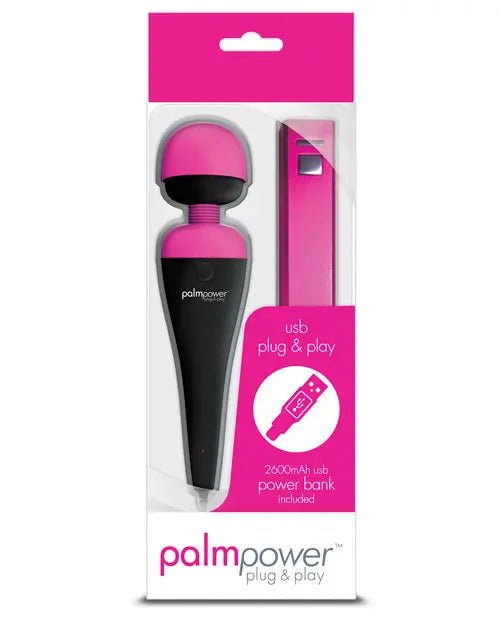 Palm Power Plug & Play B.M.S. Enterprises