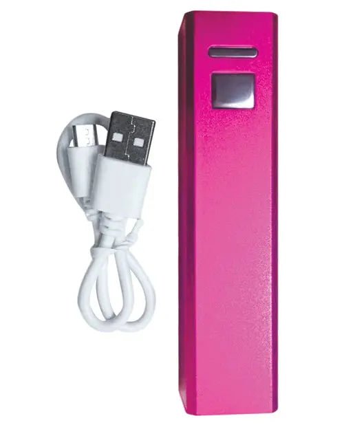Palm Power Plug & Play B.M.S. Enterprises