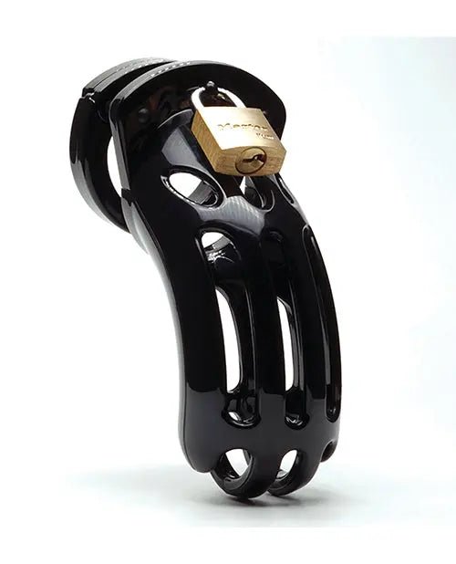 The Curve 3 3/4" Curved Cock Cage & Lock Set SinSationes