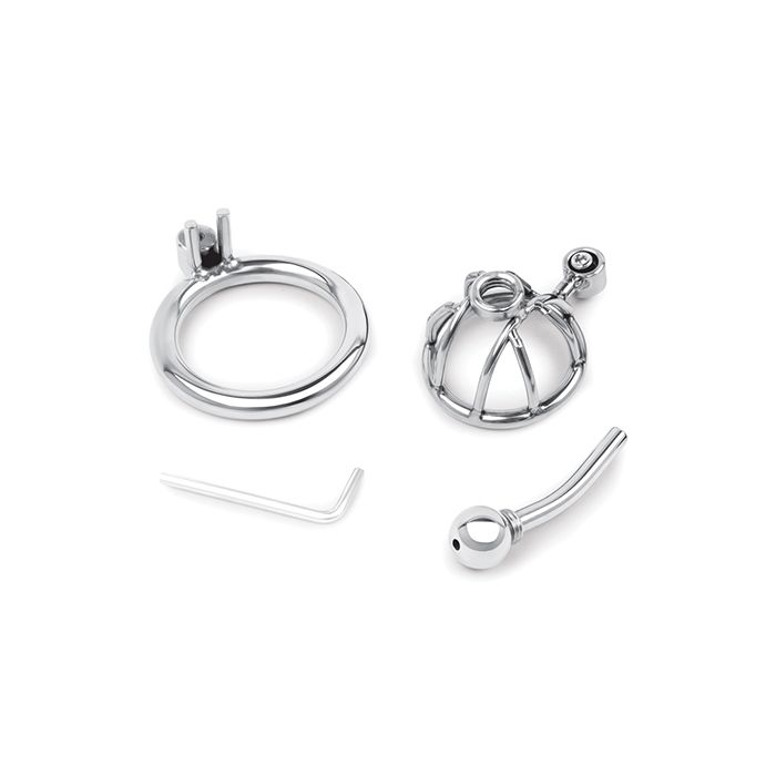 Stainless Steel Inverted Micro Chastity Cage with Urethral Straw Lockmaster