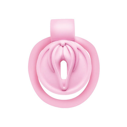 Pussification Vulva Locking Chastity Cage Master Series