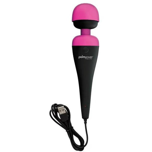 Palm Power Plug & Play B.M.S. Enterprises